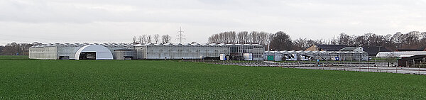Frontansicht